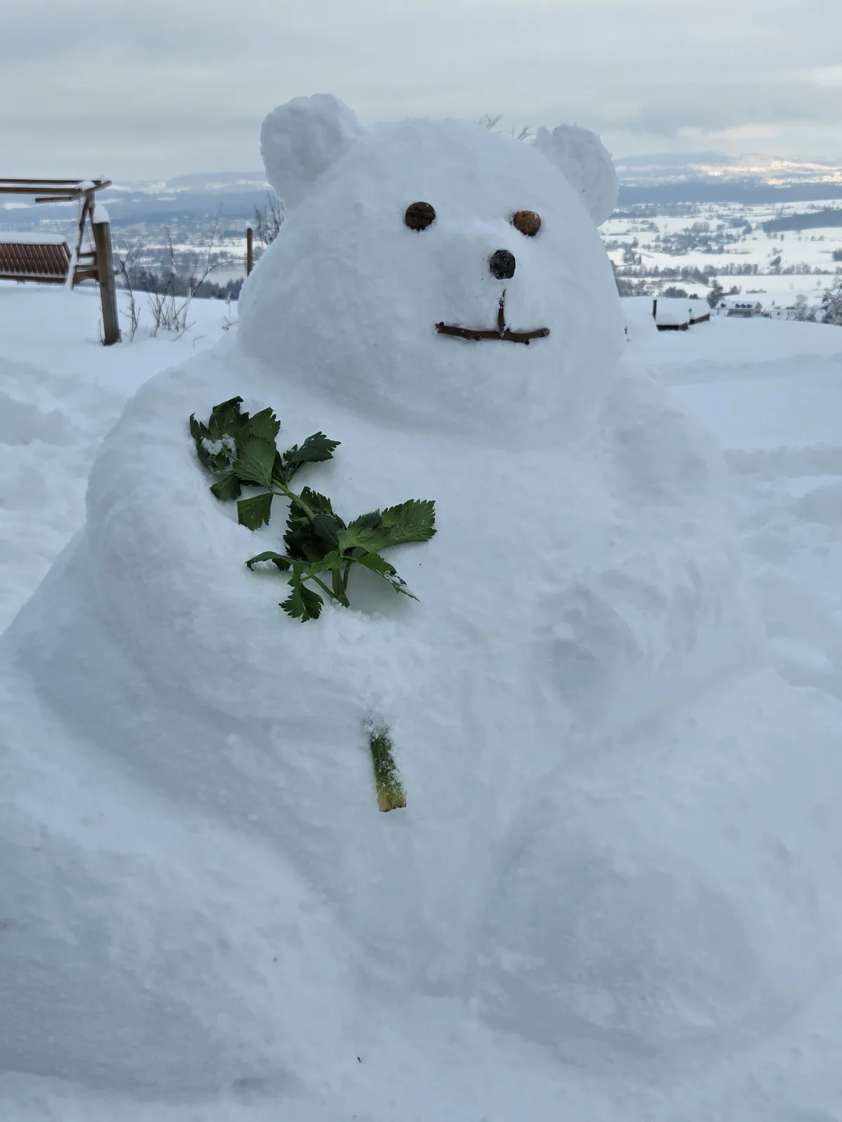 Das wärs jetzt! Einen Schneemann bauen wie diesen Schneebären in Hinteregg. Ein Schneemann in der Landschaft bei Hinteregg